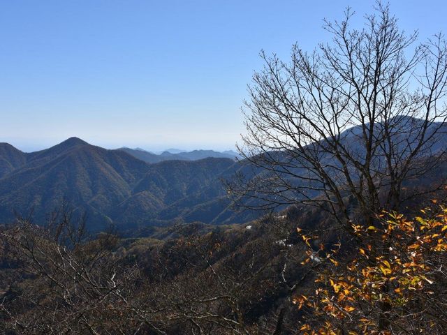 ���m�� �W�]�䂩��̒���_���q���W�]��