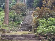 ܂̎RF_Ђ̃XM̓eʐ^1