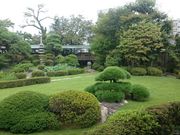 ꂨ񂳂̑oiĖߓVj̓eʐ^7