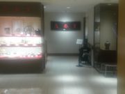 ���B�l����̓C��� ���{���^�J�V�}���X�̓��e�ʐ^1