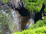 Ƃ񂳂̃ty̑i̗܁j̓eʐ^1