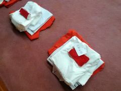 ꂠ̈ʍc@lޗǌrW^[Yr[[ւ̓eʐ^1