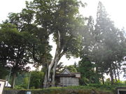 k̐ԒJ\_Ђ̑傯₫̓eʐ^3