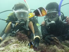 ݂䂳̈ɓ_CrOXN[ gbcւ̓eʐ^1