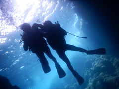 Ayalã}T[rXނʁ[ւ̓eʐ^1