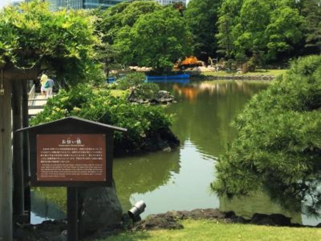 ���`����_���`�����i�l���{�����뉀�j