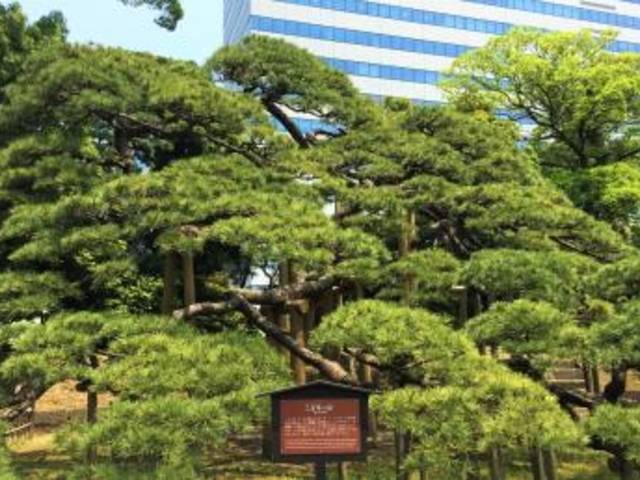 �O�S�N�̏�_�O�S�N�̏��i�l���{�����뉀�j