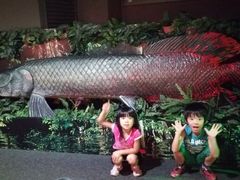 ܁[񂳂̐EW ANAggӂւ̓eʐ^1