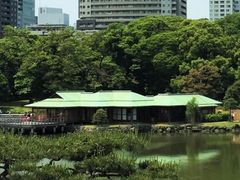 �܂�����̒����̌䒃���i�l���{�����뉀�j�ւ̓��e�ʐ^1