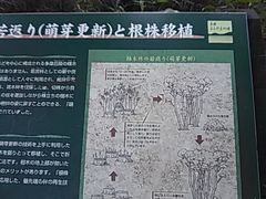 ݂̑悱܂̓ւ̓eʐ^1