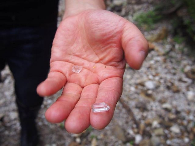 ���������낲�뗎���Ă܂��B_�ʔT��