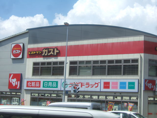 ̃KXgƂ͈قȂOςȂ̂ŁAɖ͂킩ɂƎv܂B_KXg c痢RX