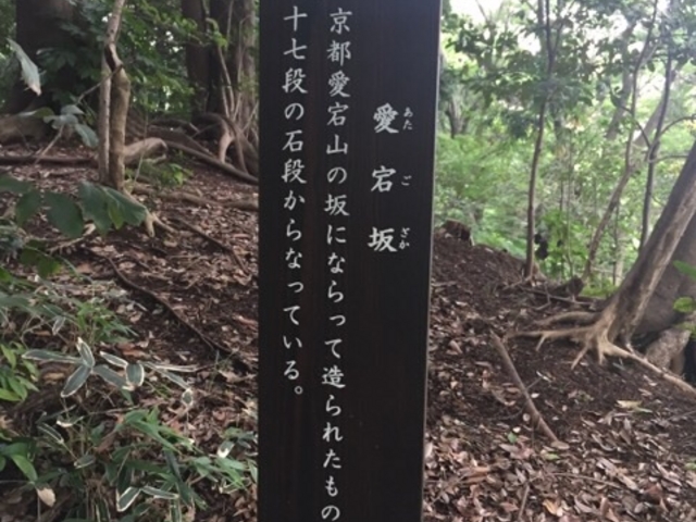 ��̓r���̈ē��ł��B_������i���ΐ��y���j