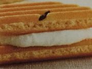 񂯂񂳂̌ی͓X̓eʐ^1