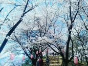 ���C����̍O�@�R�Õ��̍��̓��e�ʐ^1