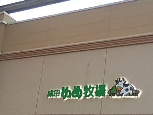 xeɂ҂ł_cߖqEXv~AEAEgbgX