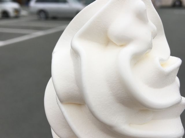 ͂ŏ߂ă\tgN[𔃂܂B_OXgnEX