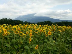 Hirotan����̂ւ̓��e�ʐ^3