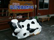 Hirotan̎RqꎩR cHꔄX̓eʐ^1