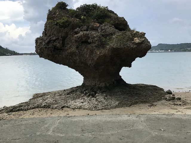 �k���̊�_�A�}�~�`���[�̕�