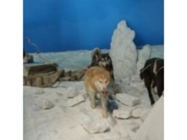 �ٓ��W��_�A�����ȋL�O�فu�X��̉Ɓv