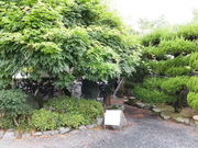 ���ڂ炳��̔m�ԋ��(�i�ӂ�����)�̓��e�ʐ^2