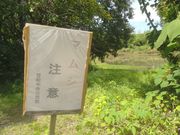 TrL̊}̃IjoXi򕌌HSj̓eʐ^1