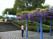 Ђł̂ӂ̍炭u̓eʐ^1