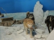 ߂̂₳̐AȋLOفuX̉Ɓv̓eʐ^2