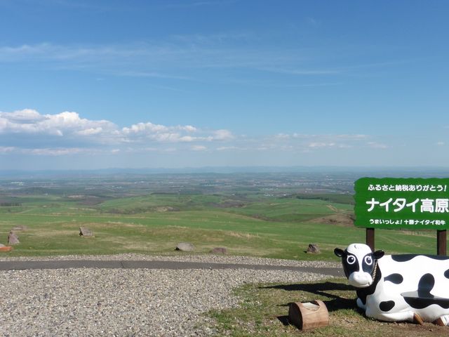 �i�C�^�C�����q�꒸�ォ��_�i�C�^�C�����q��i�C�^�C�e���X