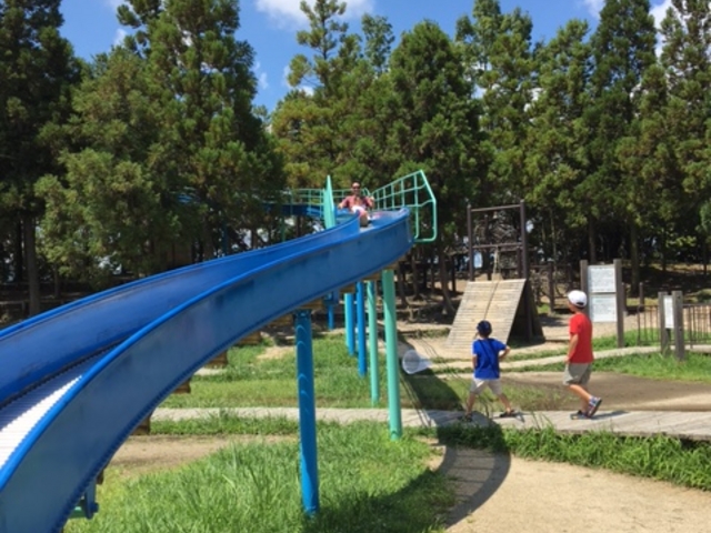 ���������_��A��������