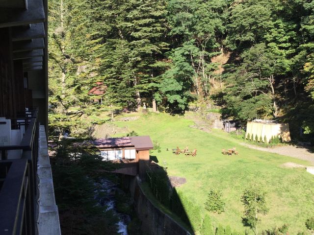 x_̌iF_nƑ吳\ܔN  e