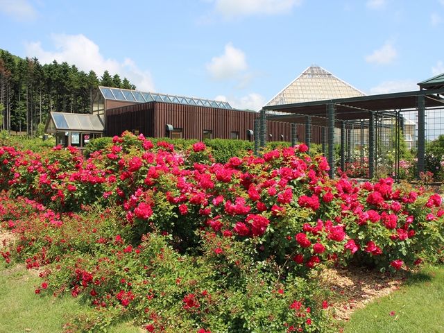 ���炫�o��_����݂�������o����