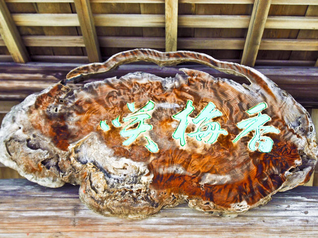 jɂX\DłBE珑Ă̂㊴܂_ ~