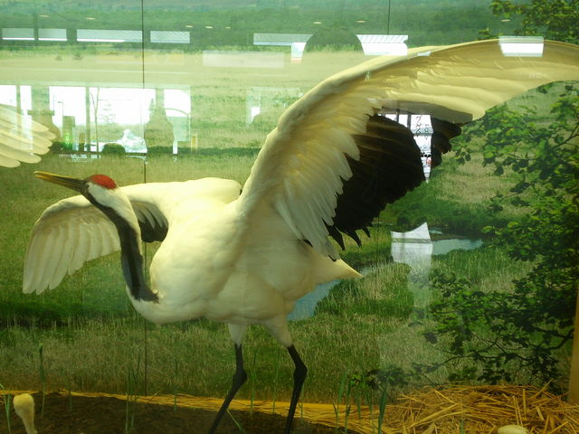 ^`E_Hsόēi񂿂傤H`j