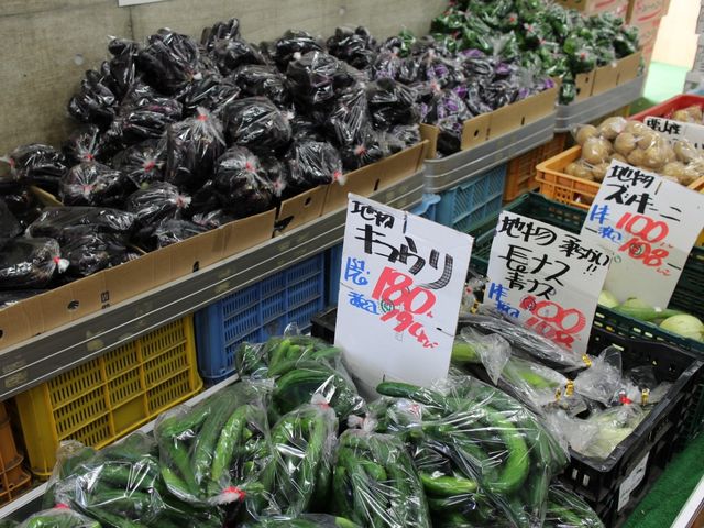 �V�N���_���̉w �O�}�i�T���t�@�[���O�}�j