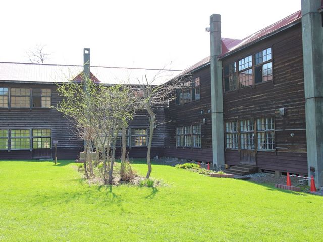 ���h���w�Z_���c���������p�� �A���e�s�A�b�c�@���S