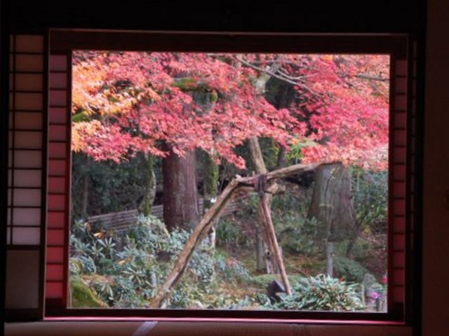 ��Ԃ̂��̎ʐ^���B��̂͂킸���ȏu�Ԃ�_���āI_�����֎�