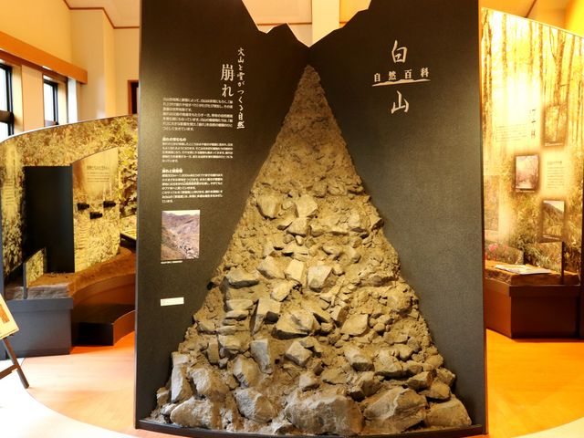 ���R�̐��藧��_���R���h�Ȋw��