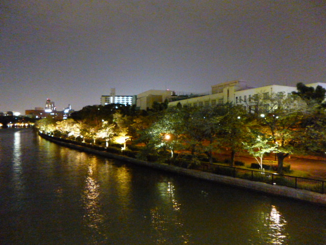 ���̉͐�~�ł�_�єn���V�{����