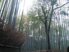 ΂т̒|т̓ւ̓eʐ^1