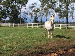 񂳂̃TCvf[Xւ̓eʐ^1