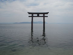 Jasmin̔颐_Ђւ̓eʐ^1