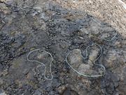 Ƃ񂳂̔RhȊwق̓eʐ^3