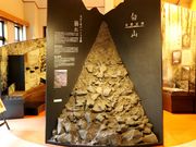 Ƃ񂳂̔RhȊwق̓eʐ^5