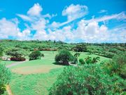 ʂʂ̃VMxCJg[Nu̓eʐ^1