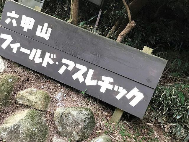 �A�N�e�B�u��_�Z�b�R�A�X���`�b�N�p�[�N GREENIA