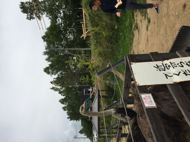 傫ł(^o^)_jZRQL傤q