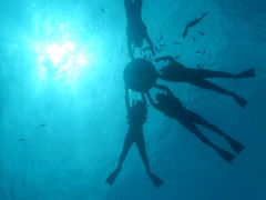 ̃}T[rXނʁ[ւ̓eʐ^1