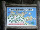 tosさんの竜串海域公園の投稿写真1
